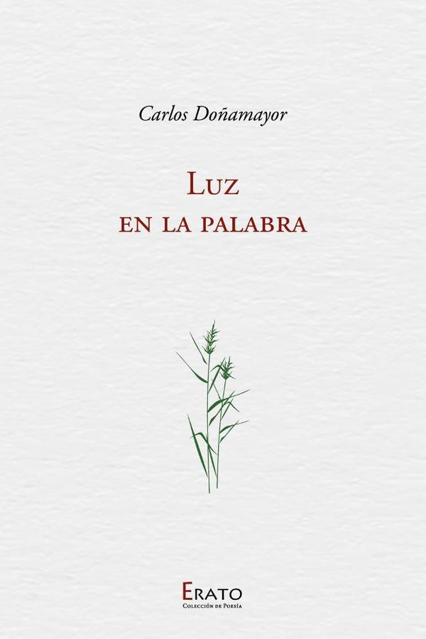 Luz en la palabra