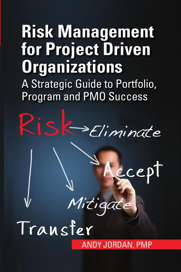Risk Management for Project Driven Organizations