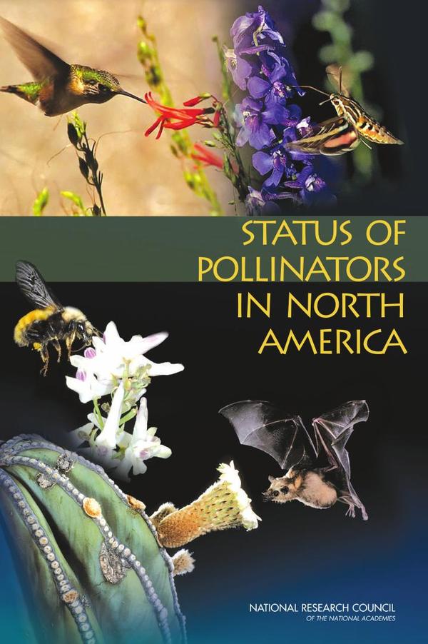Status of Pollinators in North America