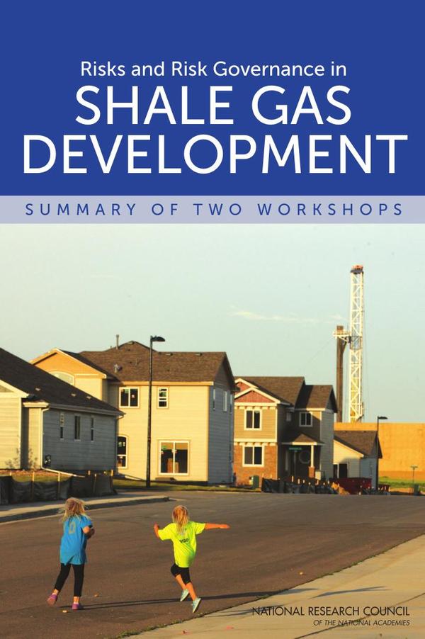 Risks and Risk Governance in Shale Gas Development