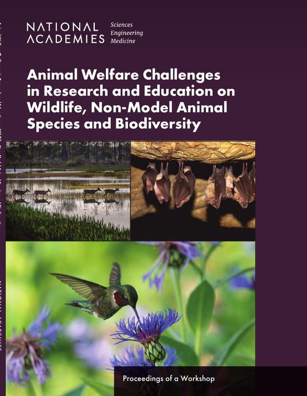 Animal Welfare Challenges in Research and Education on Wildlife, Non-Model Animal Species and Biodiversity