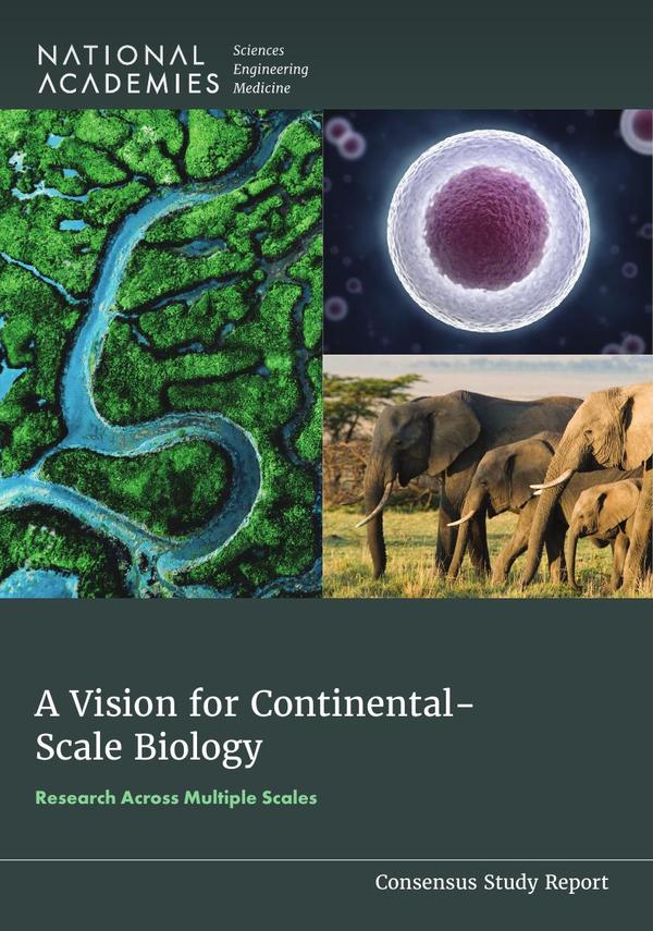 A Vision for Continental-Scale Biology