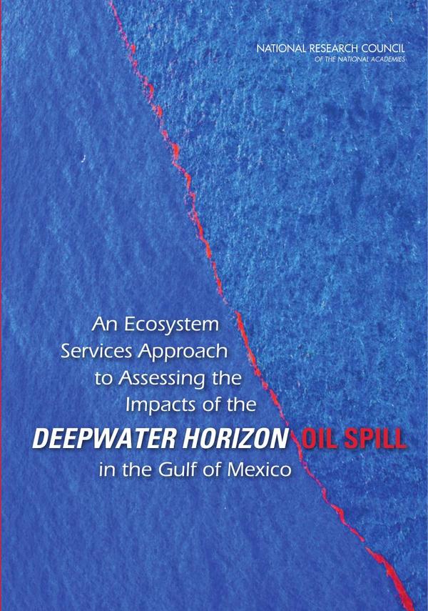 An Ecosystem Services Approach to Assessing the Impacts of the Deepwater Horizon Oil Spill in the Gulf of Mexico