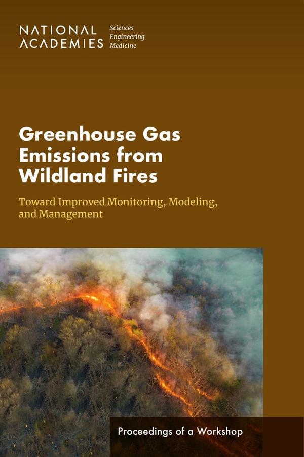 Greenhouse Gas Emissions from Wildland Fires