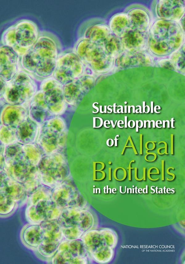 Sustainable Development of Algal Biofuels in the United States