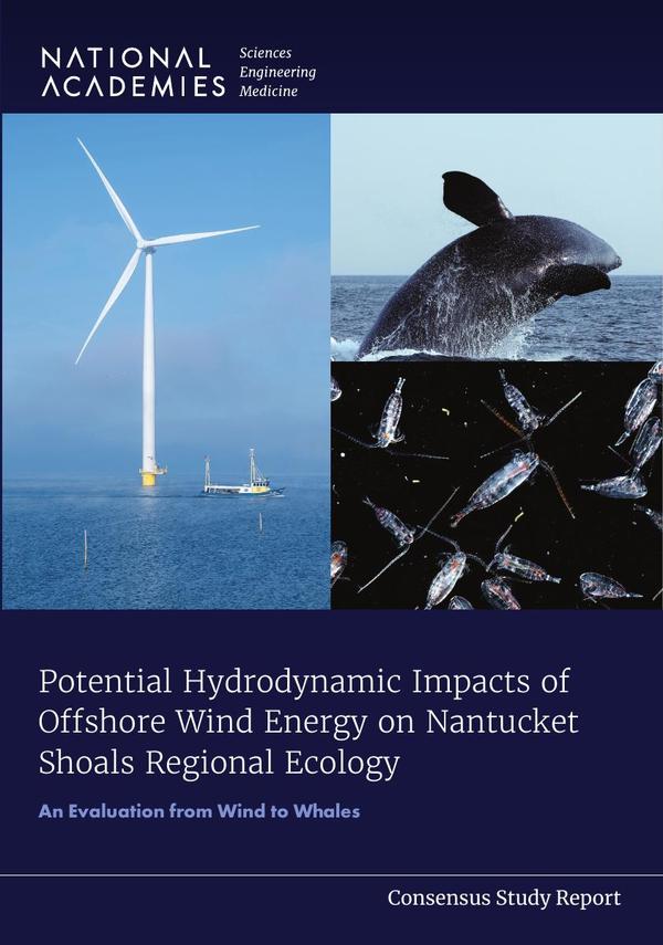 Potential Hydrodynamic Impacts of Offshore Wind Energy on Nantucket Shoals Regional Ecology