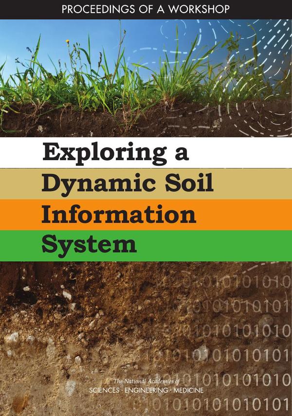 Exploring a Dynamic Soil Information System