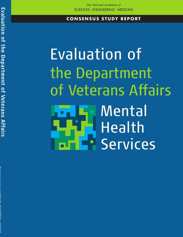 Evaluation of the Department of Veterans Affairs Mental Health Services