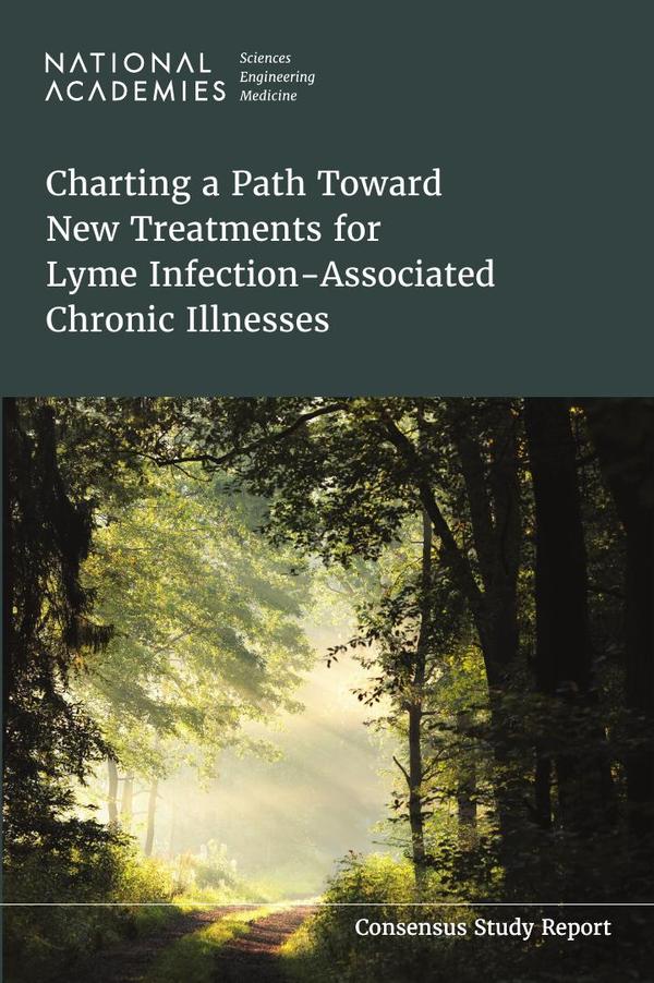 Charting a Path Toward New Treatments for Lyme Infection-Associated Chronic Illnesses