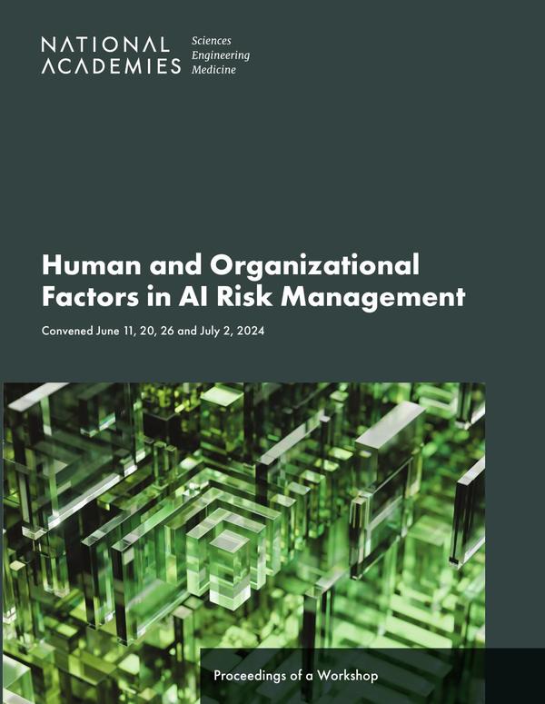 Human and Organizational Factors in AI Risk Management