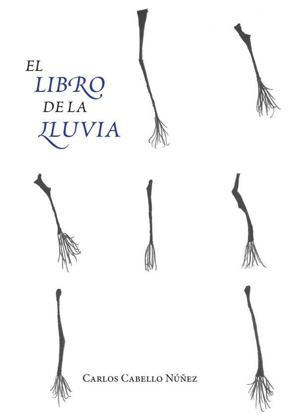El libro de la lluvia
