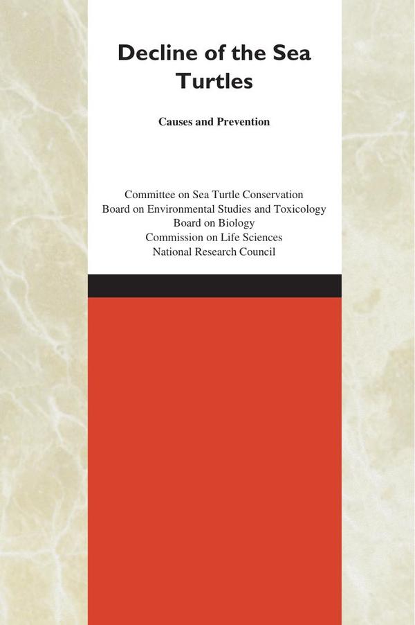 Decline of the Sea Turtles