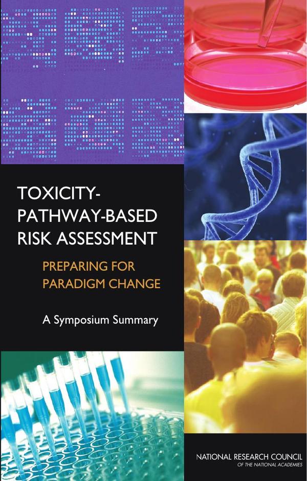 Toxicity-Pathway-Based Risk Assessment