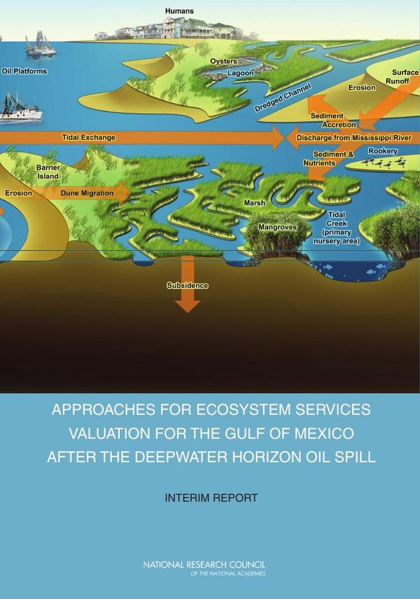 Approaches for Ecosystem Services Valuation for the Gulf of Mexico After the Deepwater Horizon Oil Spill