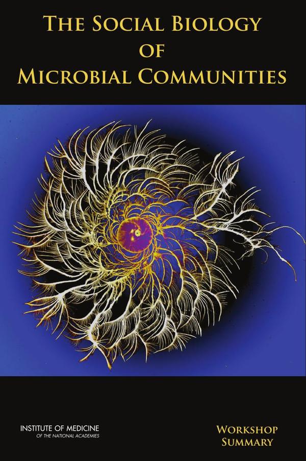The Social Biology of Microbial Communities