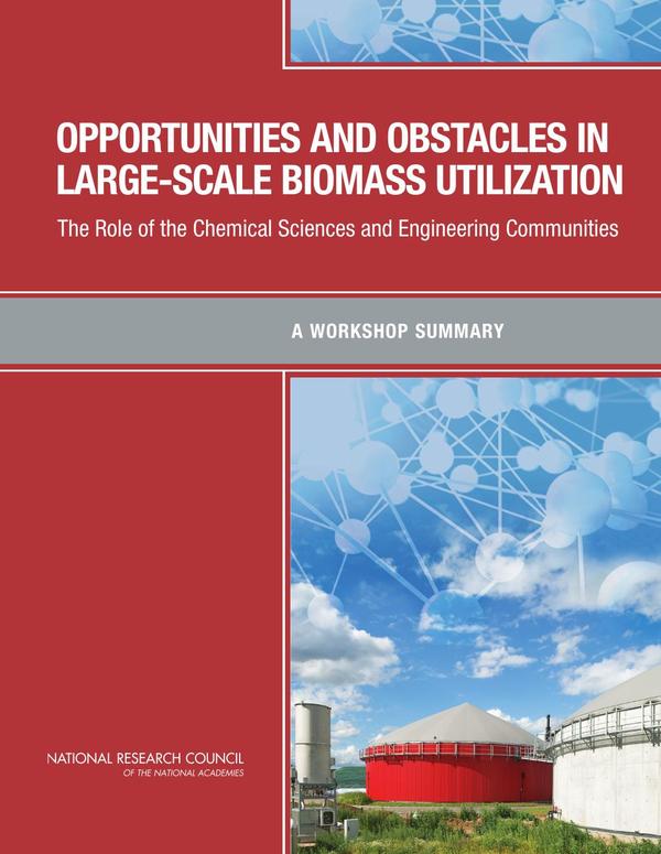 Opportunities and Obstacles in Large-Scale Biomass Utilization