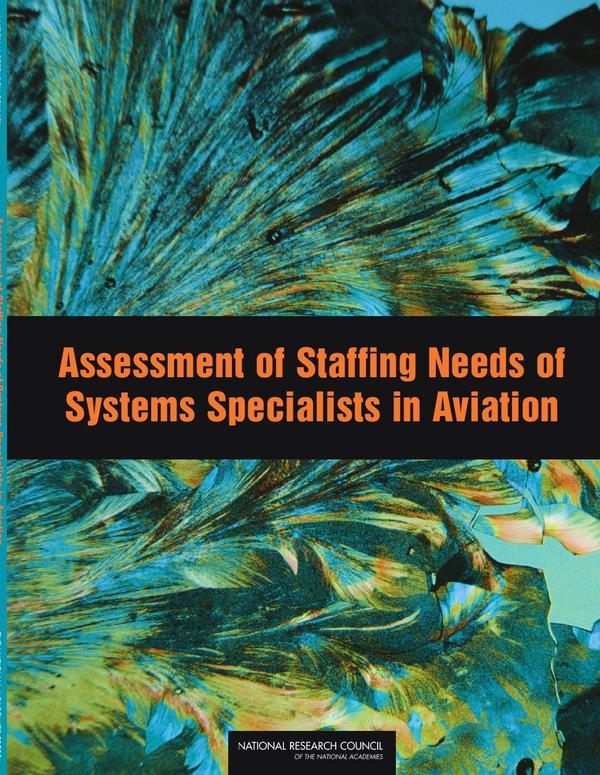 Assessment of Staffing Needs of Systems Specialists in Aviation