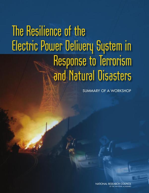 The Resilience of the Electric Power Delivery System in Response to Terrorism and Natural Disasters