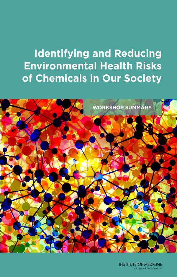Identifying and Reducing Environmental Health Risks of Chemicals in Our Society