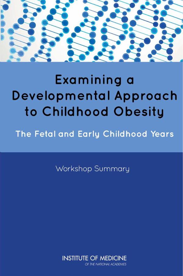 Examining a Developmental Approach to Childhood Obesity