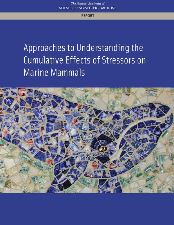 Approaches to Understanding the Cumulative Effects of Stressors on Marine Mammals
