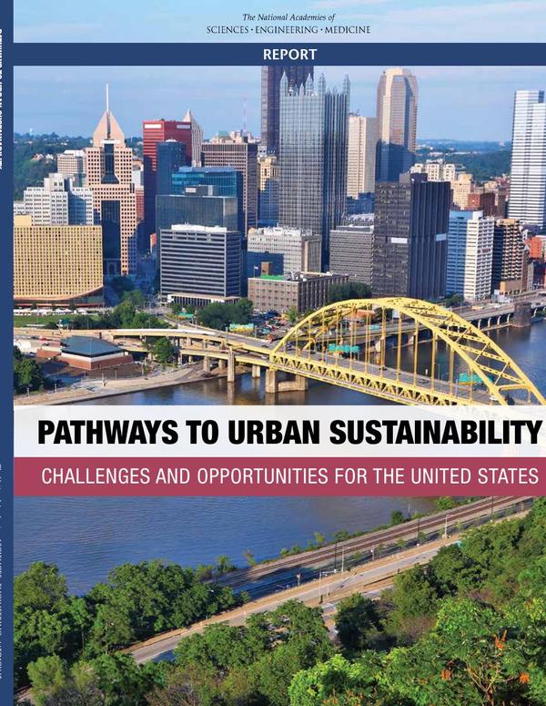 Pathways to Urban Sustainability