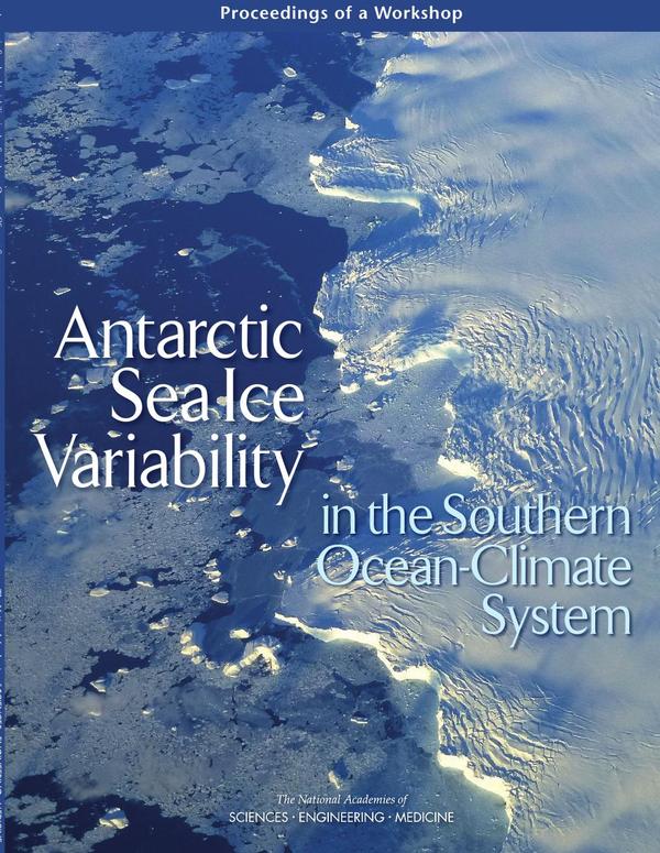 Antarctic Sea Ice Variability in the Southern Ocean-Climate System