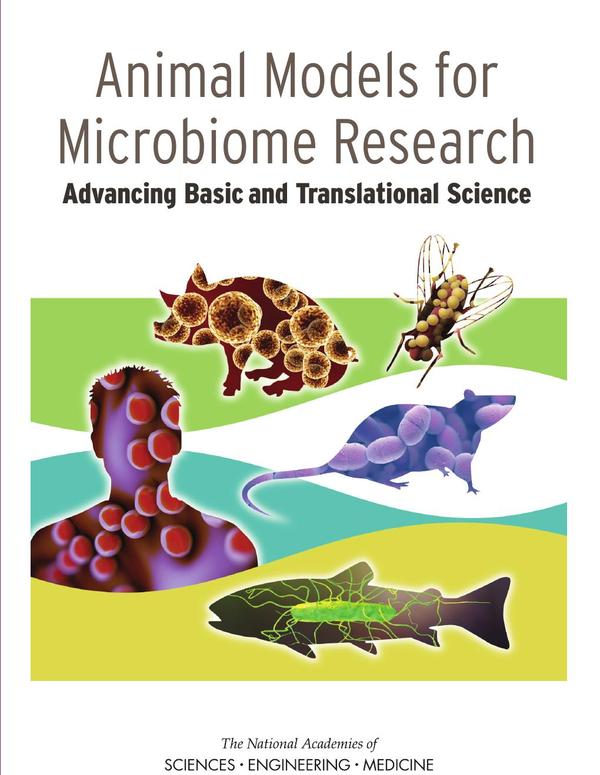 Animal Models for Microbiome Research