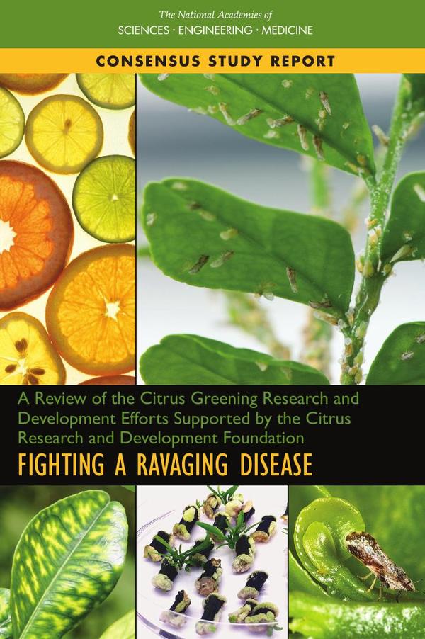 A Review of the Citrus Greening Research and Development Efforts Supported by the Citrus Research and Development Foundation