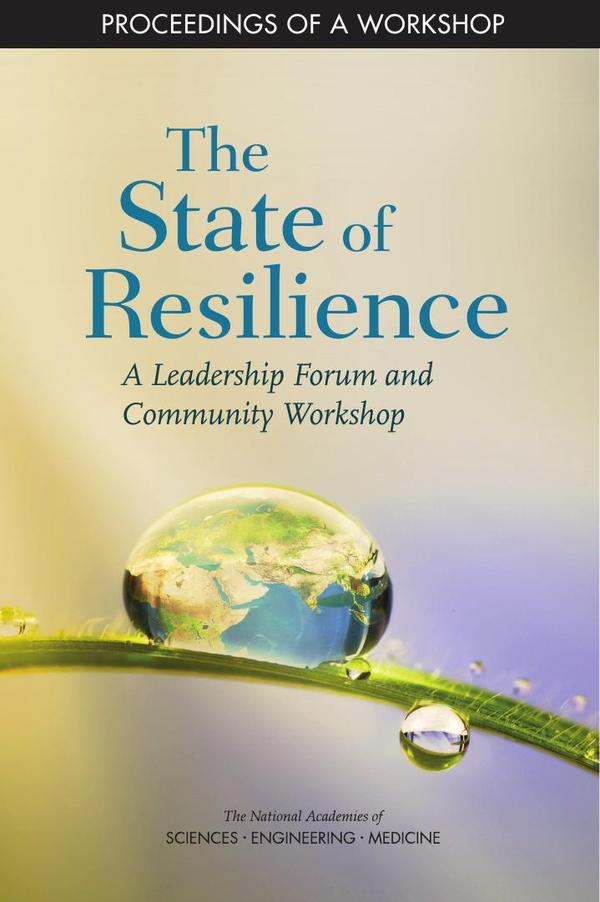 The State of Resilience