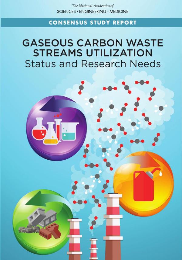 Gaseous Carbon Waste Streams Utilization