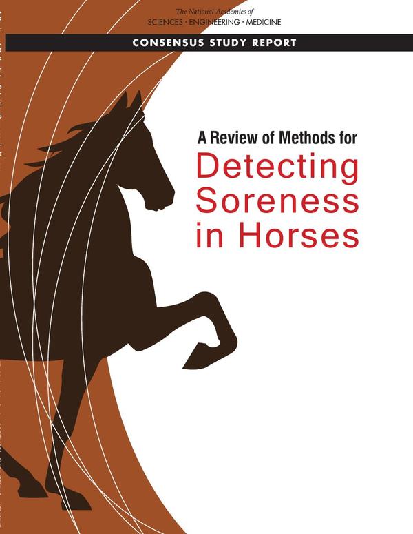A Review of Methods for Detecting Soreness in Horses