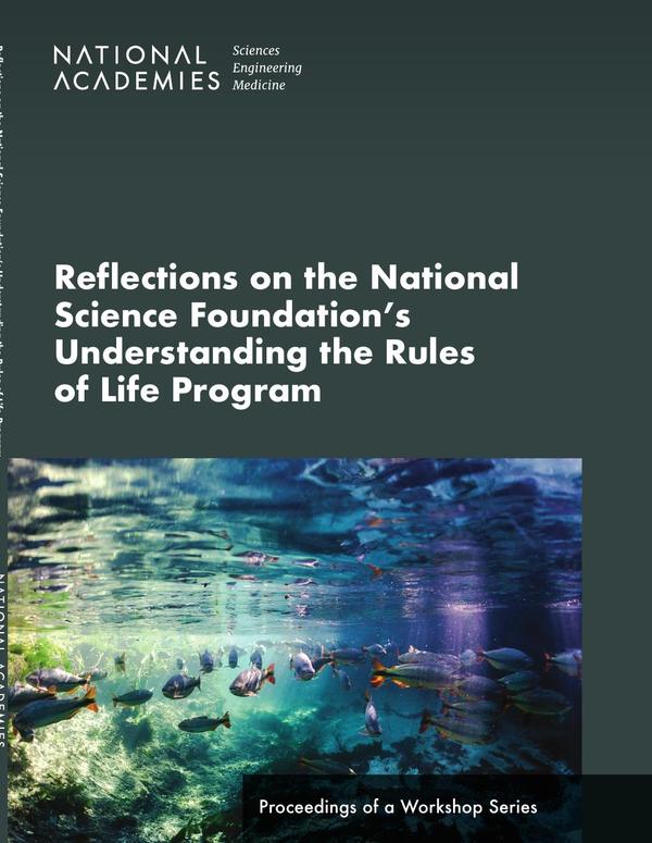 Reflections on the National Science Foundation's Understanding the Rules of Life Program