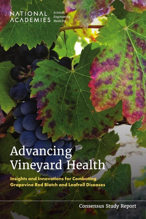 Advancing Vineyard Health