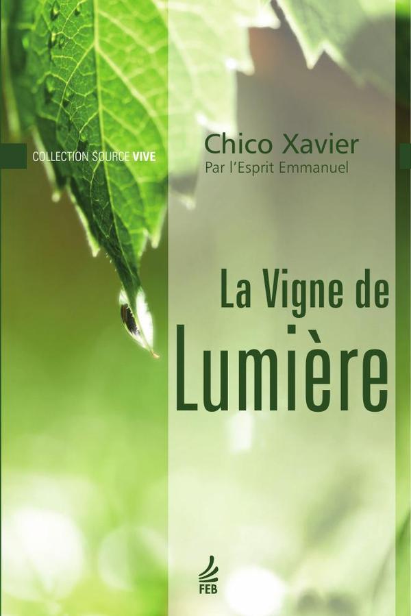 La vigne de lumière (Vinha de luz - Francês)