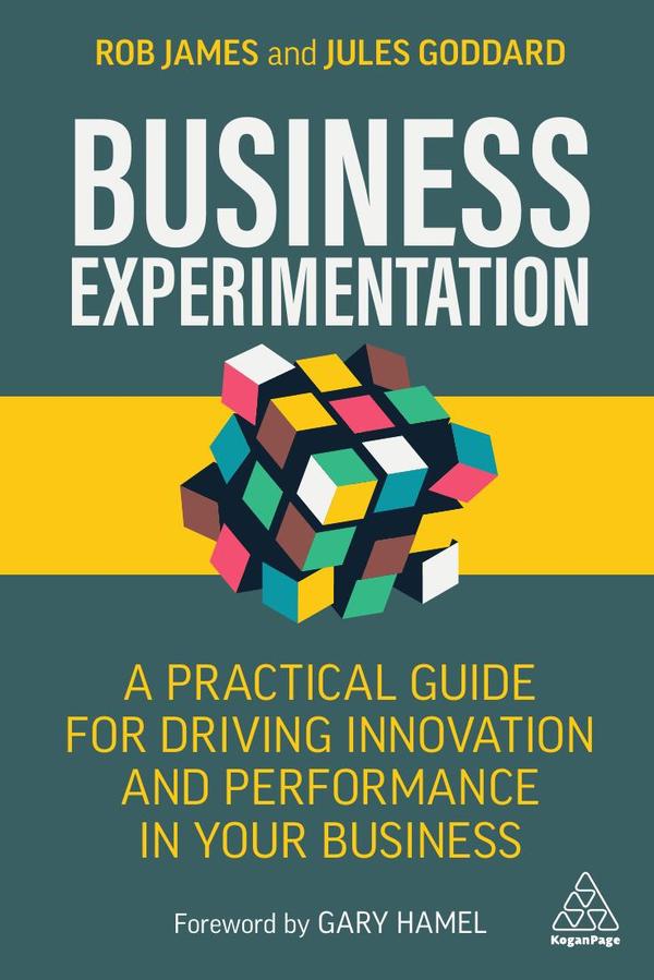 Business Experimentation