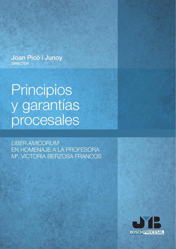 Principios y garantías procesales.