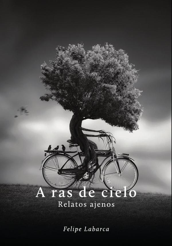 A ras de cielo