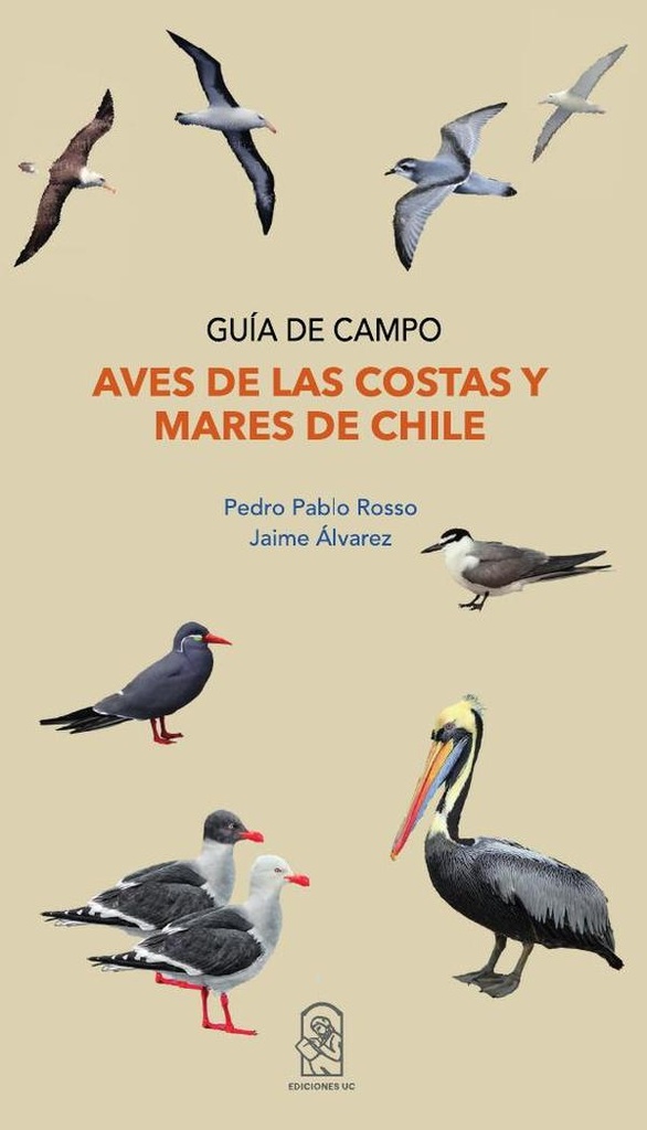 Aves de las costas y mares de Chile