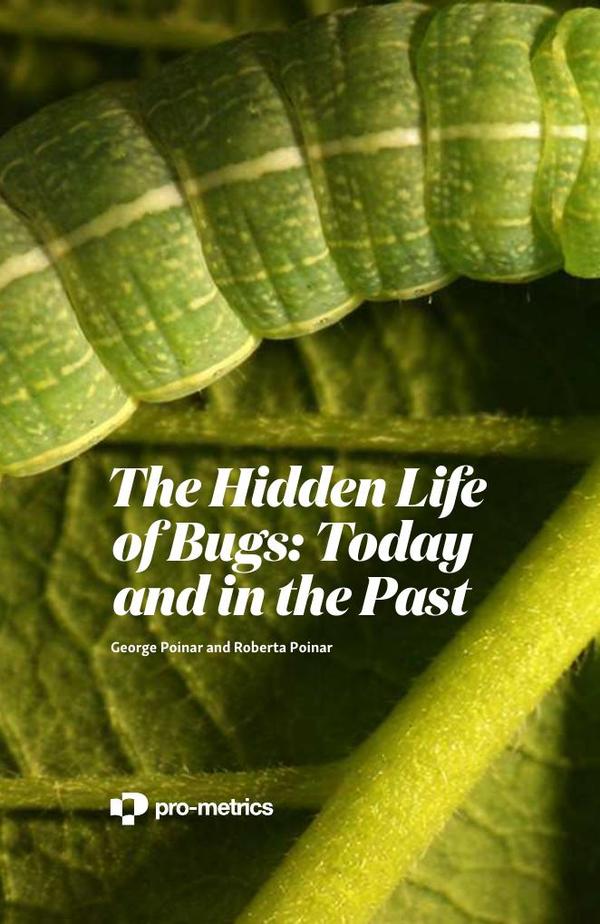 The Hidden Life of Bugs Today and in the Past