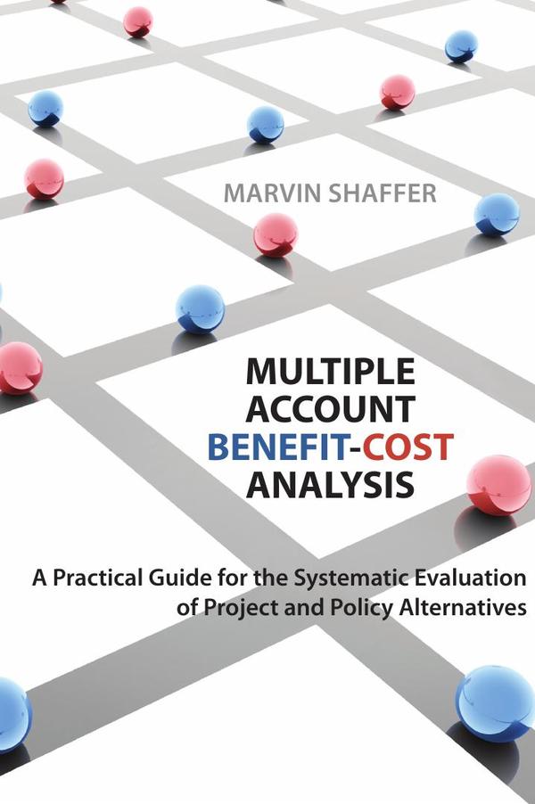 Multiple account benefit-cost analysis