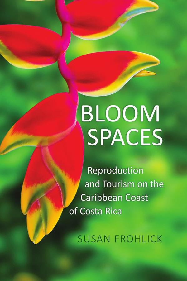 Bloom Spaces
