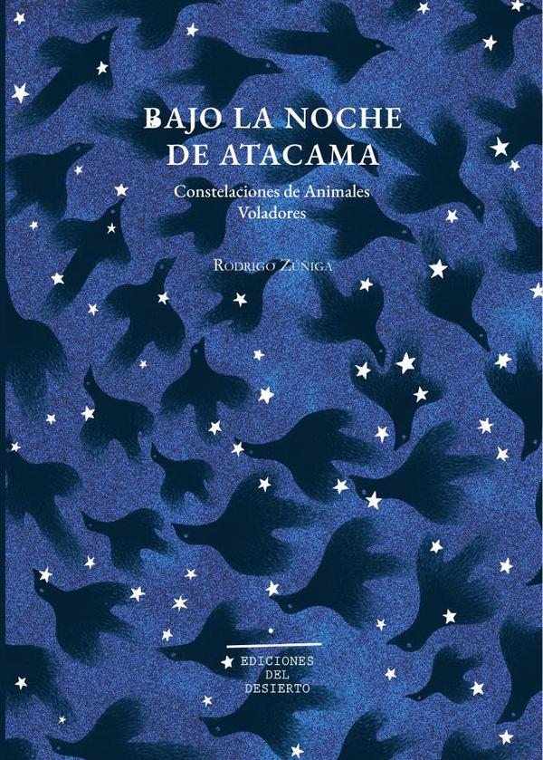 Bajo la noche de Atacama