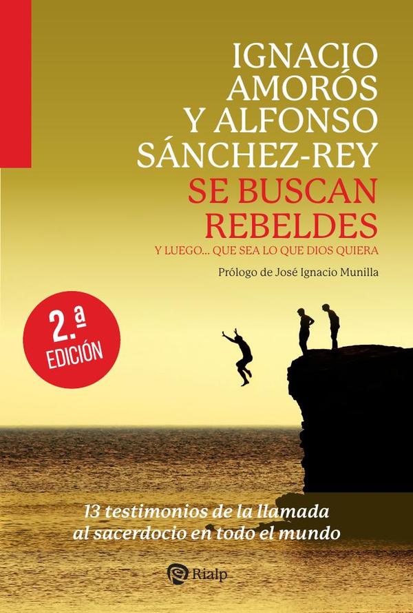 Se buscan rebeldes