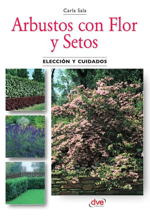 Arbustos con flor y setos