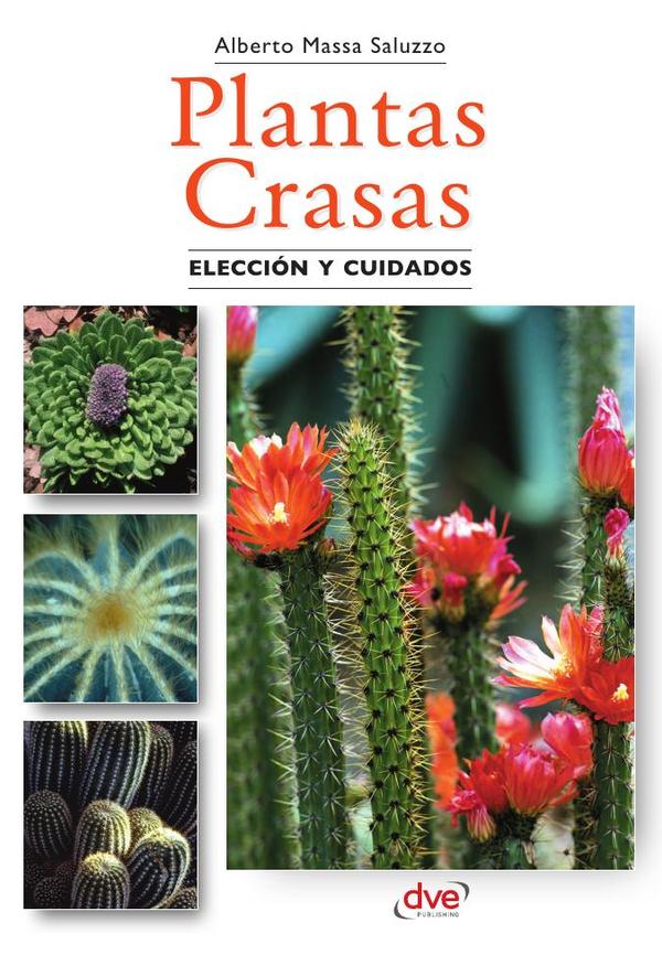 Plantas crasas