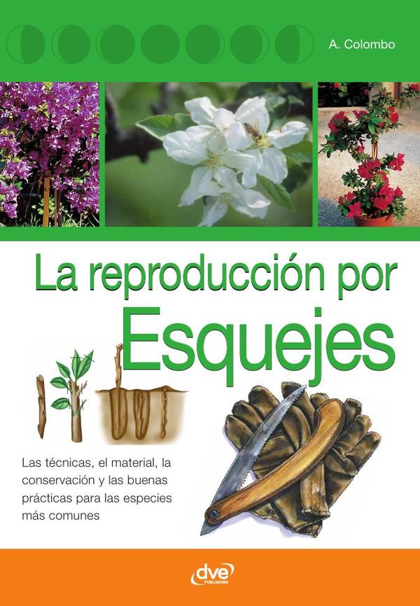 La reproducción por esquejes