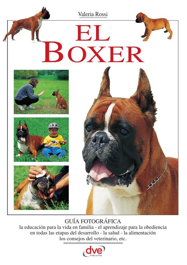 El Boxer