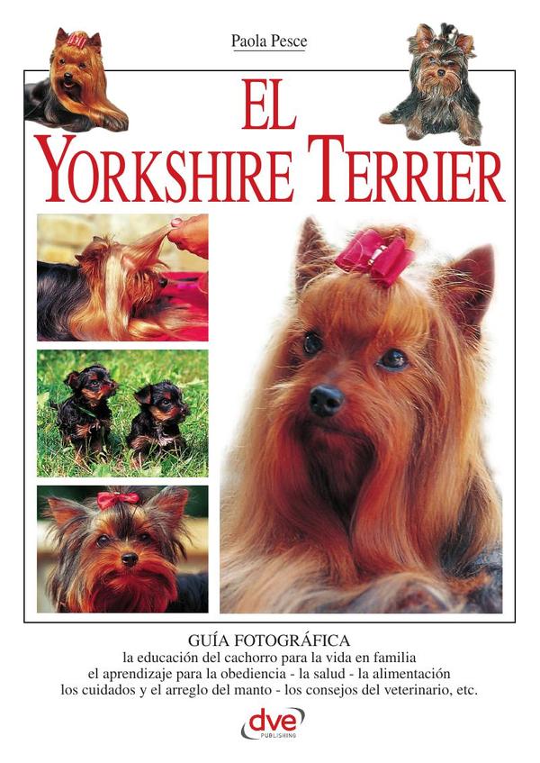 El yorkshire terrier