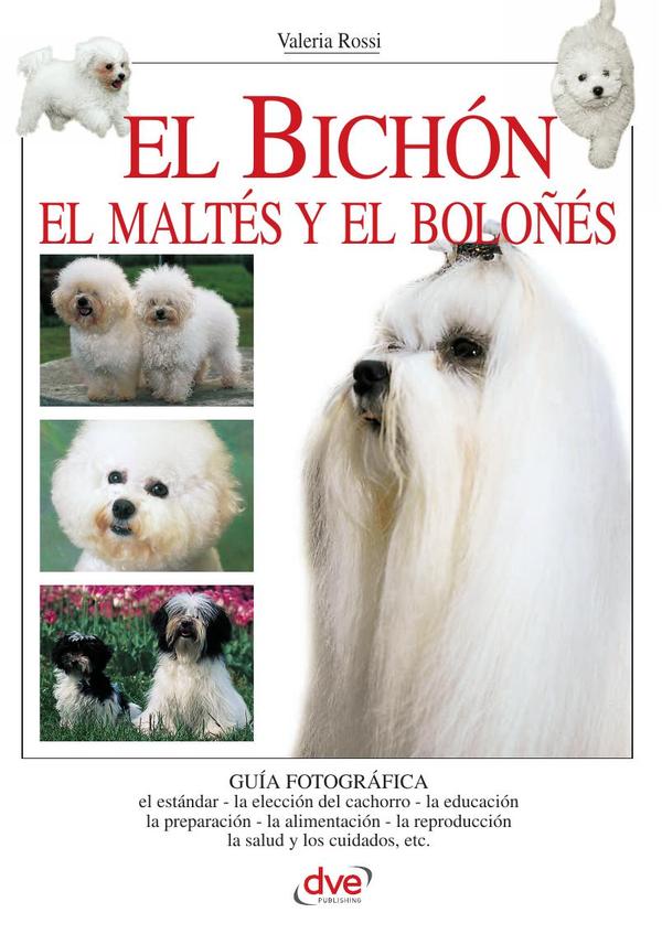 El bichón